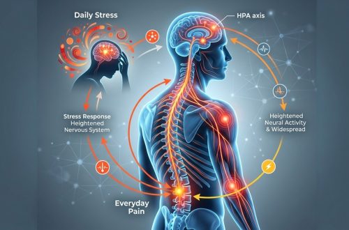 How Your Body’s Stress Response Turns Everyday Pain Into a Chronic Problem