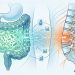 The Hidden Connection Between Your Gut Health and Chronic Back Pain: What New Research Reveals