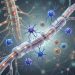 The Immune System’s Hidden Role in Chronic Pain: More Than Just Inflammation